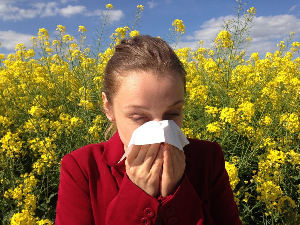 How To Reduce Allergens in Your Home.